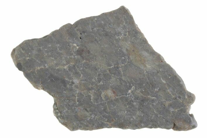 Lunar Meteorite ( g) Slice - Laayoune #381686